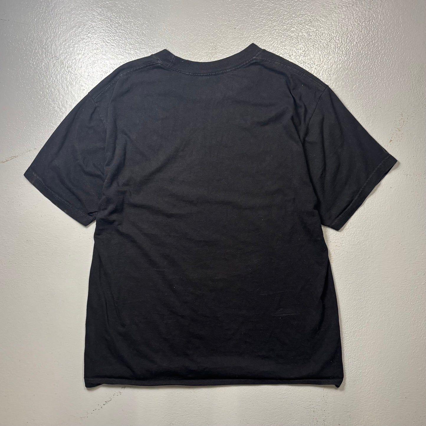 Pro Club Blank Vintage T Shirt (L)(BC)
