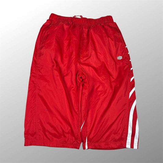Nike Hex 2006 Vintage Shorts (L)