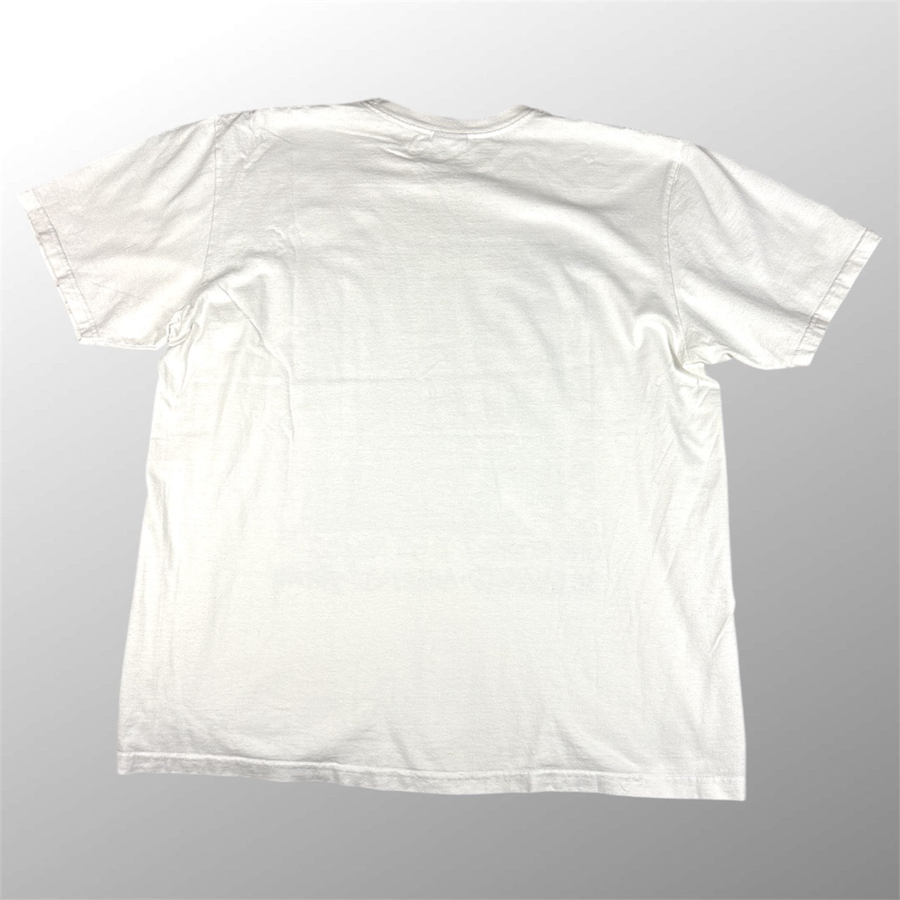 (A Top Pick) Stussy x Patta “Respect” T Shirt (L)