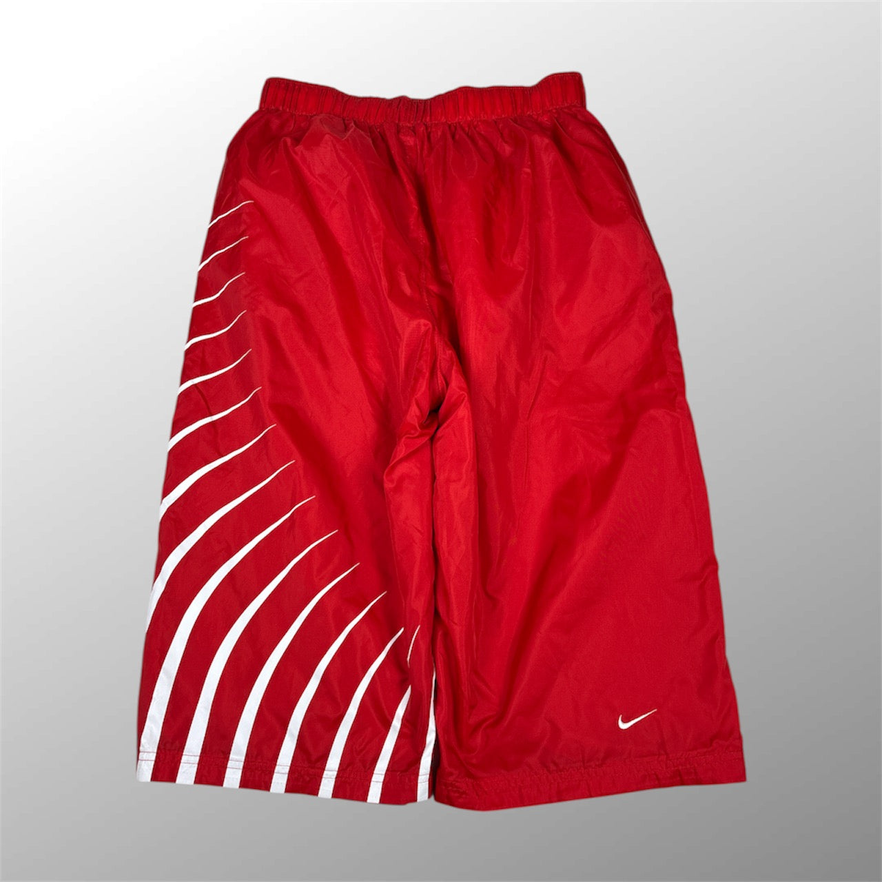 Nike Hex 2006 Vintage Shorts (L)